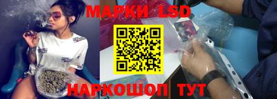 гидропоника Будённовск