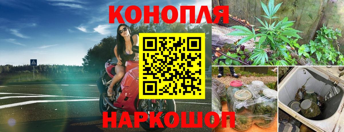 Марихуана семена  Бошки марихуана семена  Вход с VPN  Шатура  Шишки марихуана THC 21% 